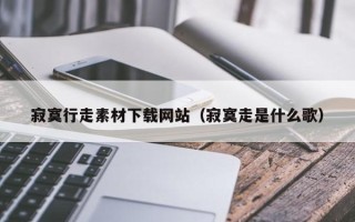 周口寂寞行走素材下载网站（寂寞走是什么歌）